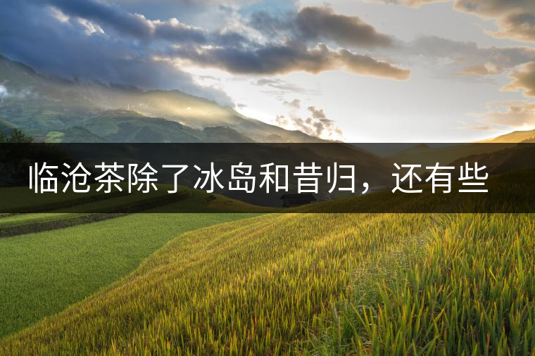 臨滄茶除了冰島和昔歸，還有些什么？