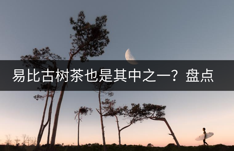 易比古樹茶也是其中之一？盤點(diǎn)當(dāng)下易武最火的十大古樹茶！