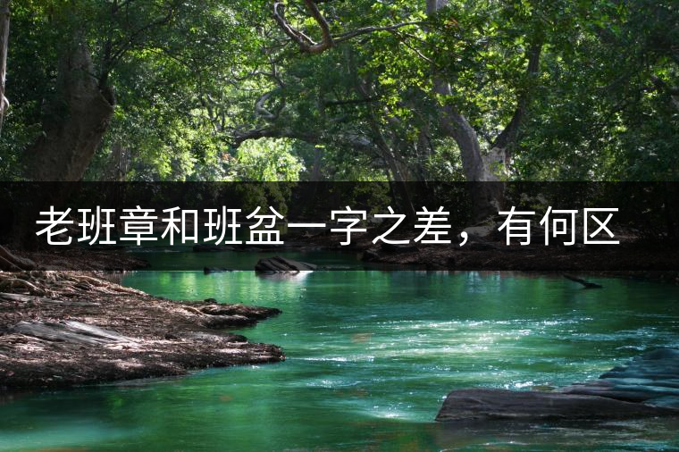 老班章和班盆一字之差，有何區(qū)別