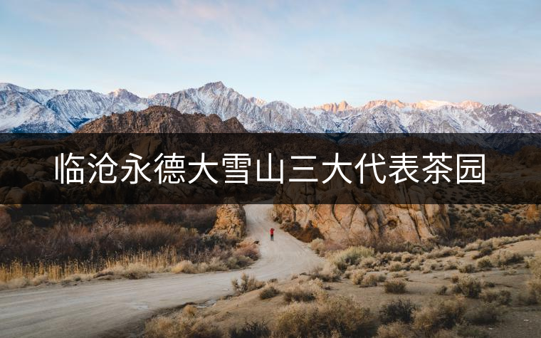 臨滄永德大雪山三大代表茶園 臨滄永德大雪山三大代表茶園