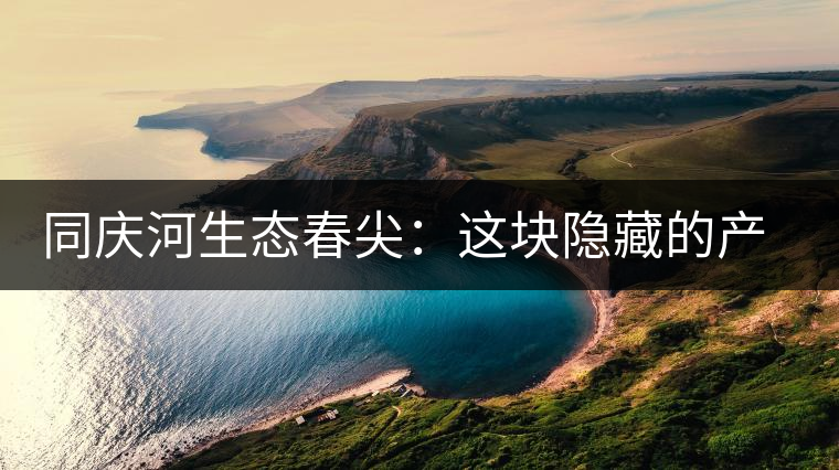 同慶河生態(tài)春尖：這塊隱藏的產(chǎn)茶圣地，你知道嗎？