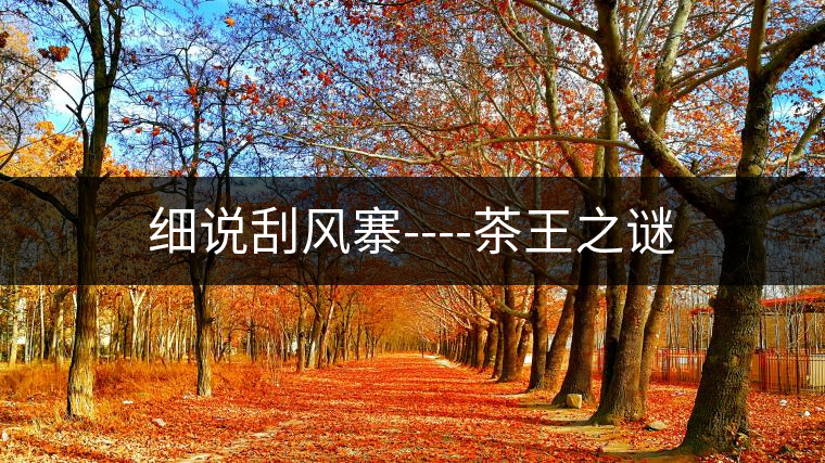 細說刮風寨----茶王之謎 細說刮風寨----茶王之謎
