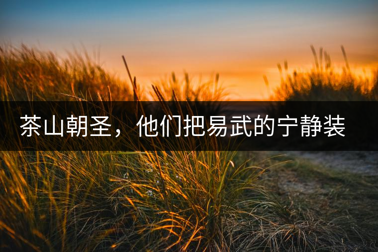 茶山朝圣，他們把易武的寧靜裝進(jìn)心里，卻把成堆垃圾留在