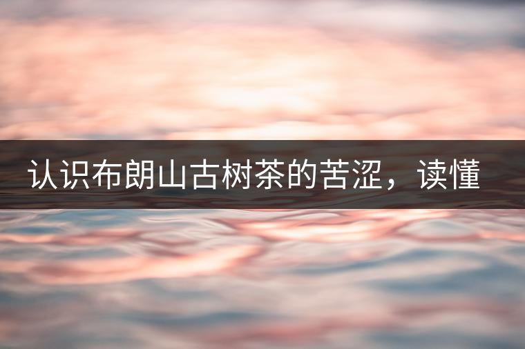 認(rèn)識(shí)布朗山古樹茶的苦澀，讀懂勐海普洱茶