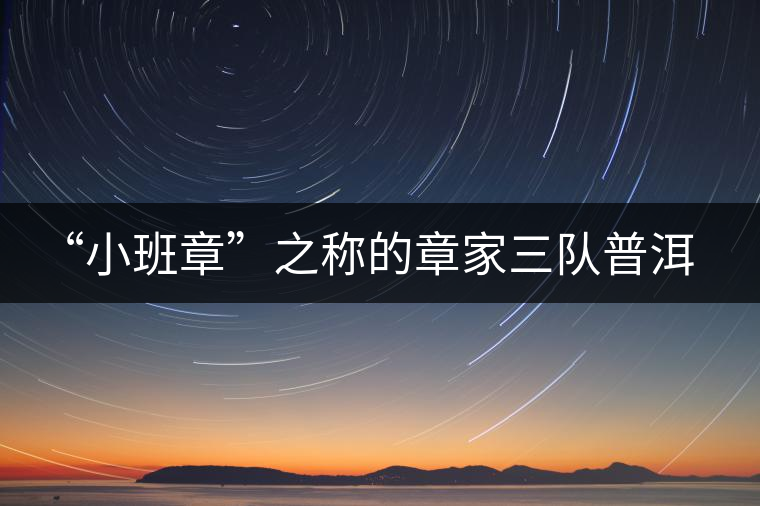 “小班章”之稱的章家三隊(duì)普洱茶 “小班章”之稱的章家三隊(duì)普洱茶