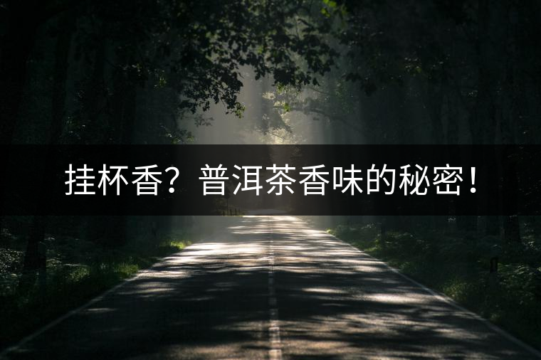 掛杯香？普洱茶香味的秘密！