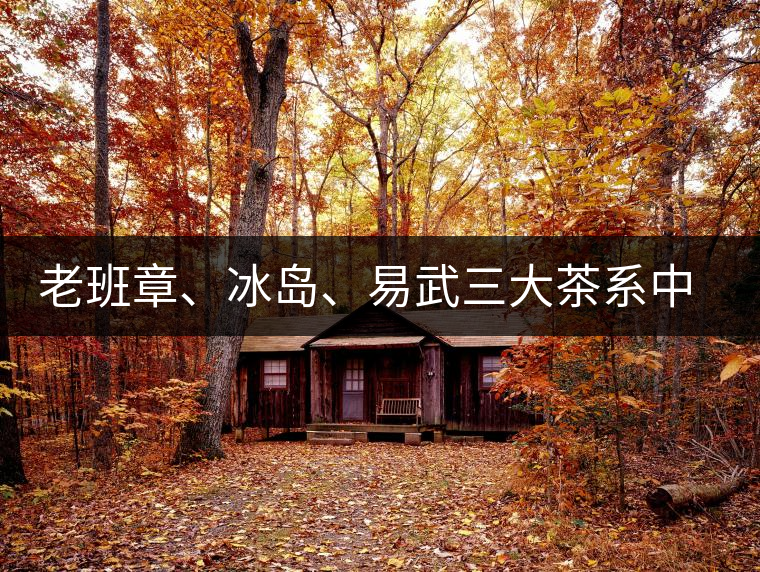 老班章、冰島、易武三大茶系中，“潛力股”為何是易武？