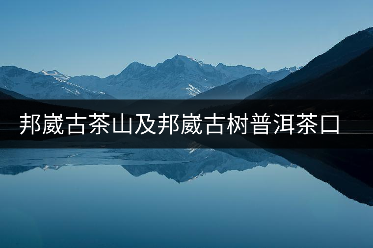 邦崴古茶山及邦崴古樹(shù)普洱茶口感特色