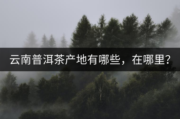 云南普洱茶產(chǎn)地有哪些，在哪里？