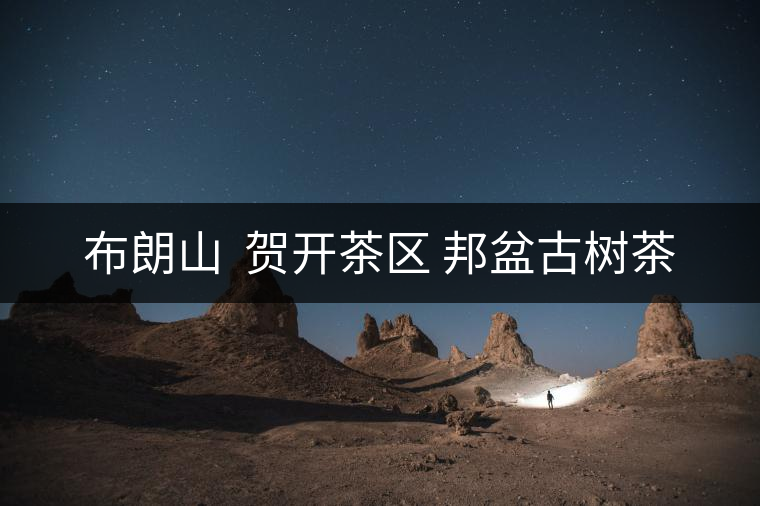 布朗山  賀開(kāi)茶區(qū) 邦盆古樹(shù)茶