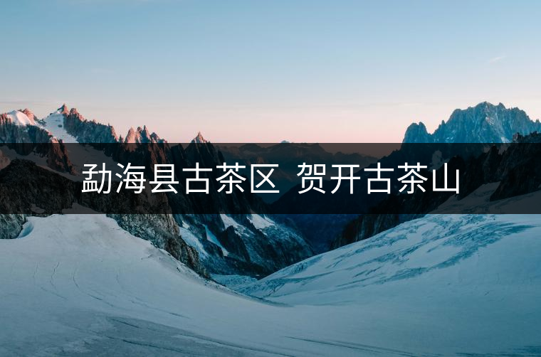 勐?？h古茶區(qū)  賀開古茶山