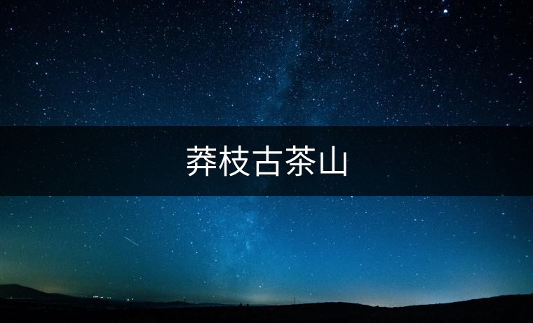 莽枝古茶山 莽枝古茶山