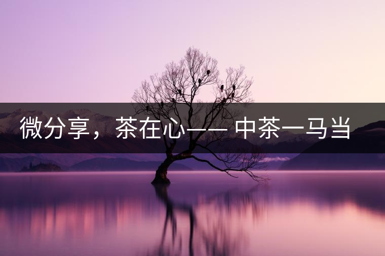 微分享，茶在心—— 中茶一馬當(dāng)先