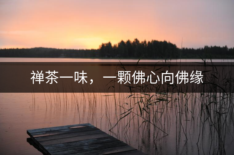 禪茶一味，一顆佛心向佛緣