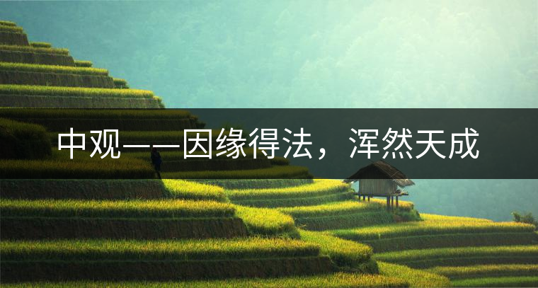 中觀——因緣得法，渾然天成