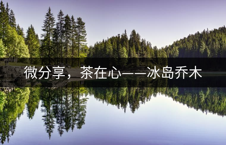 微分享，茶在心——冰島喬木