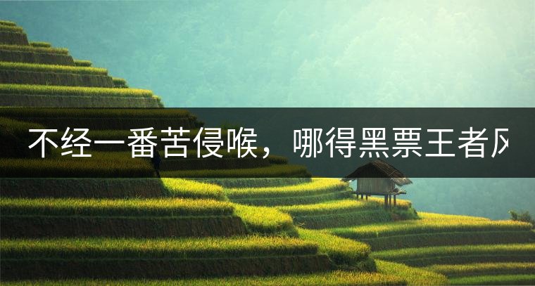 不經(jīng)一番苦侵喉，哪得黑票王者風！