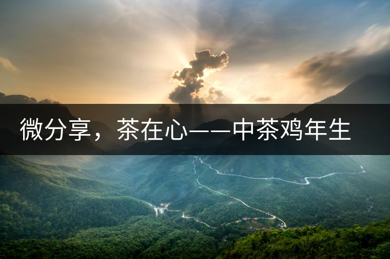 微分享，茶在心——中茶雞年生肖餅