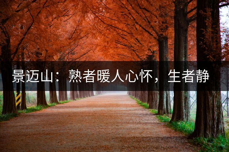 景邁山：熟者暖人心懷，生者靜品歲月