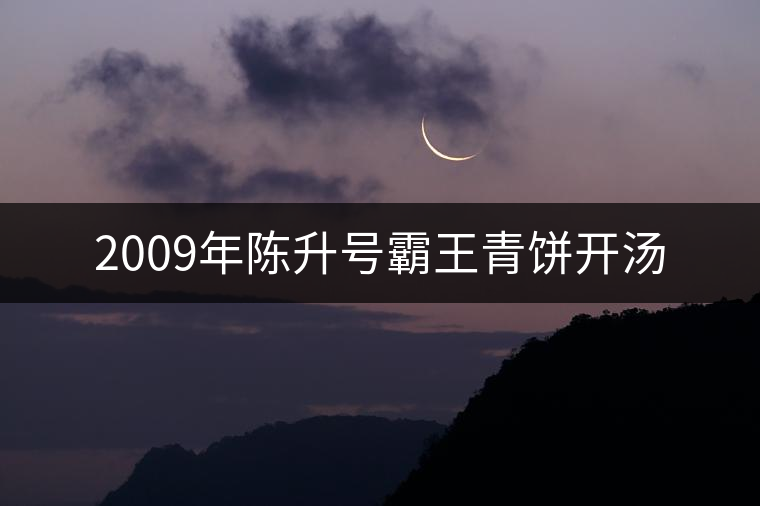 2009年陳升號(hào)霸王青餅開湯 2009年陳升號(hào)霸王青餅開湯