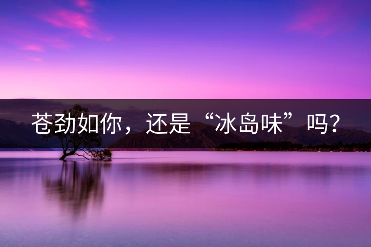 蒼勁如你，還是“冰島味”嗎？
