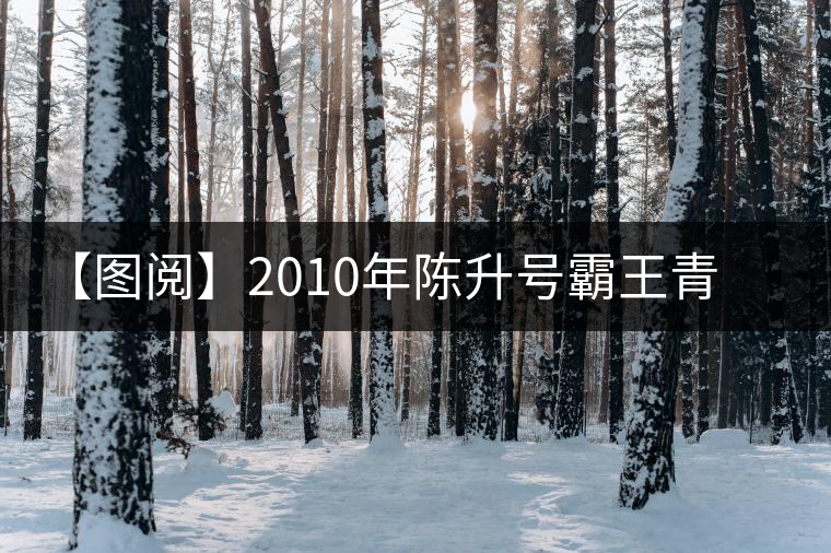 【圖閱】2010年陳升號霸王青餅開湯