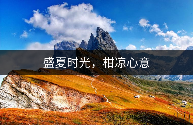 盛夏時光，柑涼心意