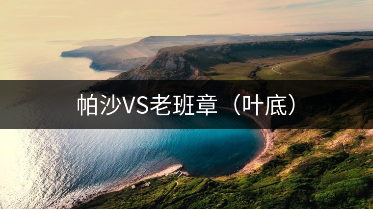 帕沙VS老班章（葉底）