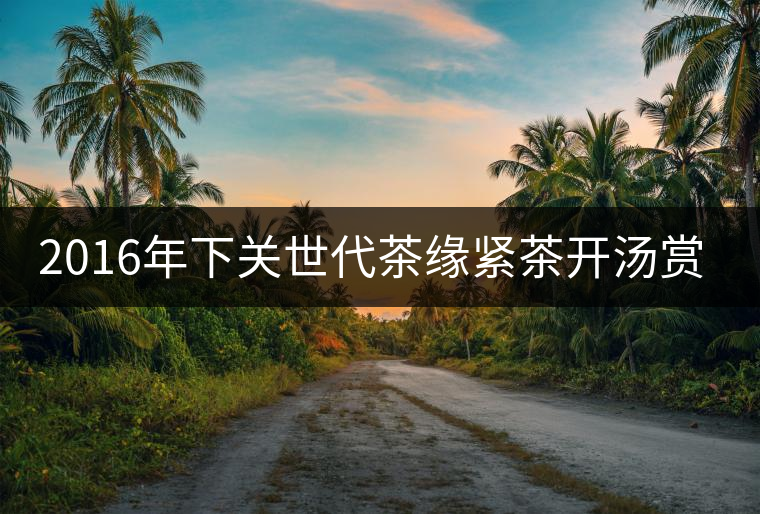 2016年下關(guān)世代茶緣緊茶開(kāi)湯賞析