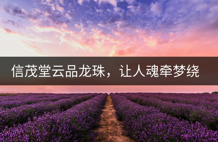 信茂堂云品龍珠，讓人魂牽夢繞的尤物