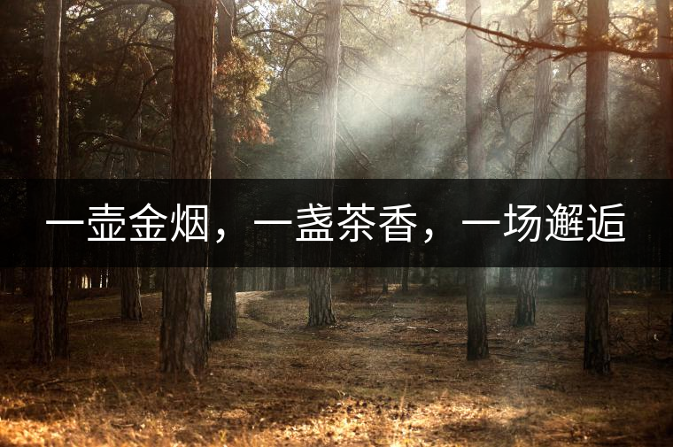 一壺金煙，一盞茶香，一場(chǎng)邂逅