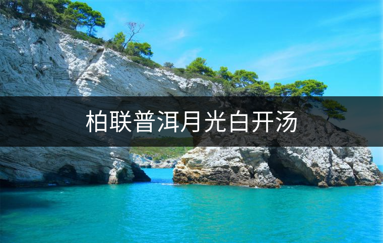 柏聯(lián)普洱月光白開(kāi)湯 柏聯(lián)普洱月光白開(kāi)湯