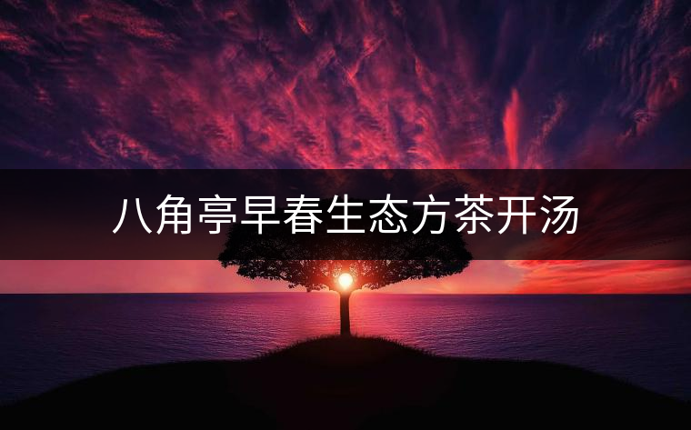 八角亭早春生態(tài)方茶開湯