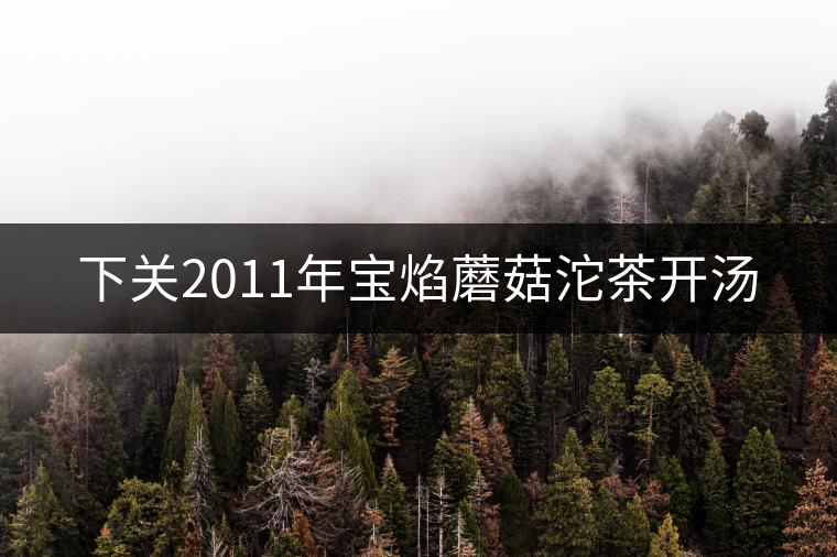 下關(guān)2011年寶焰蘑菇沱茶開湯