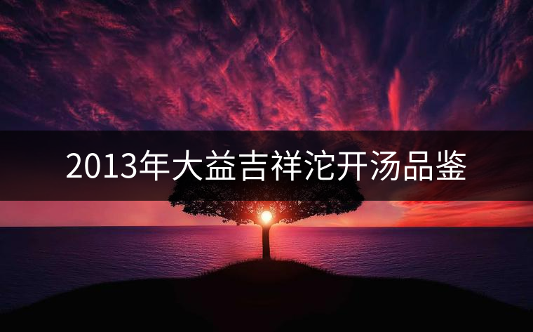 2013年大益吉祥沱開湯品鑒 2013年大益吉祥沱開湯品鑒