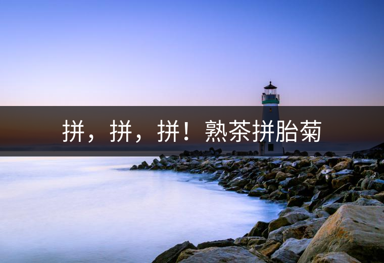 拼，拼，拼！熟茶拼胎菊