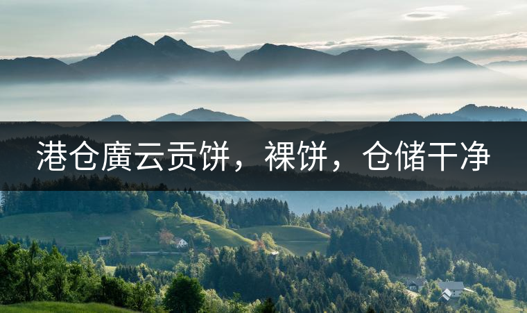 港倉廣云貢餅，裸餅，倉儲干凈