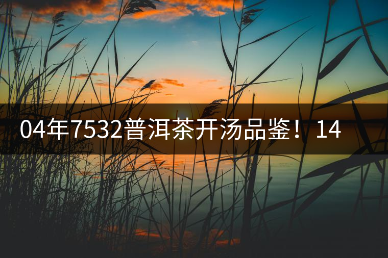 04年7532普洱茶開湯品鑒！14年轉(zhuǎn)化，經(jīng)典雪印配方！