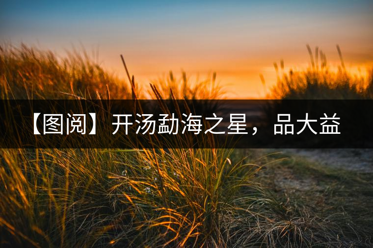 【圖閱】開湯勐海之星，品大益熟茶滋味