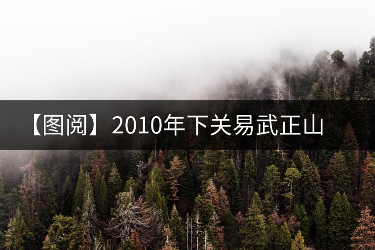 【圖閱】2010年下關(guān)易武正山老樹沱茶開湯 【圖閱】2010年下關(guān)易武正山老樹沱茶開湯