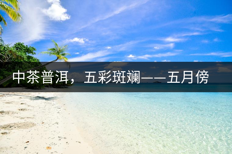 中茶普洱，五彩斑斕——五月傍晚，一道茶