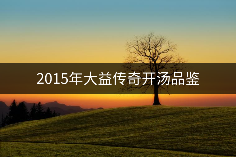 2015年大益?zhèn)髌骈_湯品鑒 2015年大益?zhèn)髌骈_湯品鑒