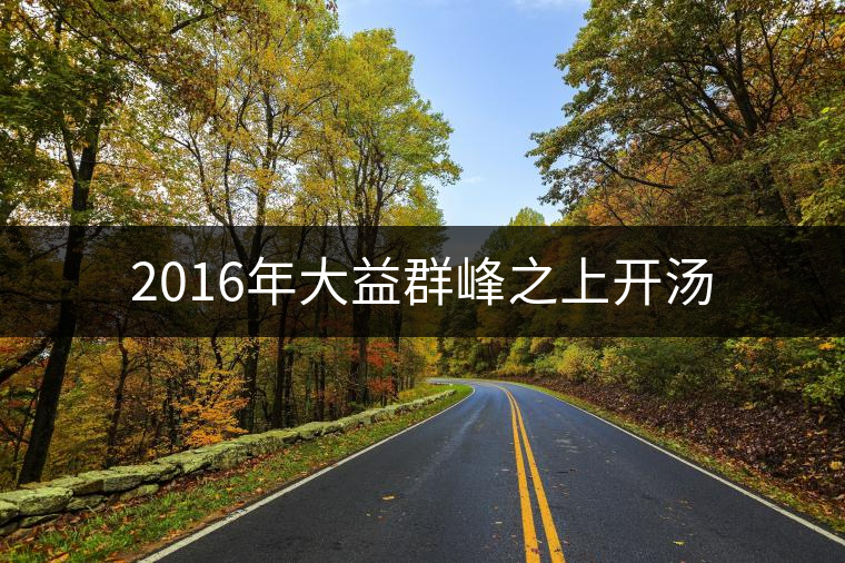 2016年大益群峰之上開(kāi)湯 2016年大益群峰之上開(kāi)湯