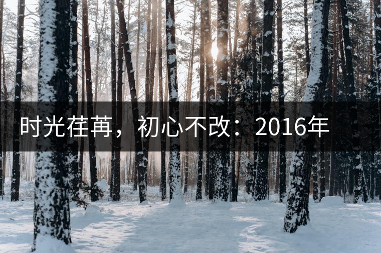 時光荏苒，初心不改：2016年老同志為天下人做好茶開湯