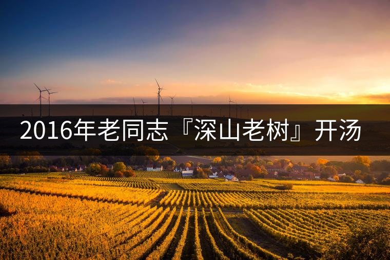 2016年老同志『深山老樹』開(kāi)湯品鑒