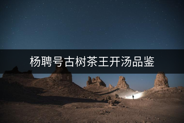 楊聘號古樹茶王開湯品鑒 楊聘號古樹茶王開湯品鑒