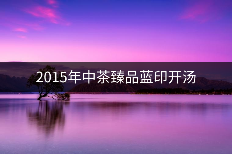 2015年中茶臻品藍(lán)印開湯