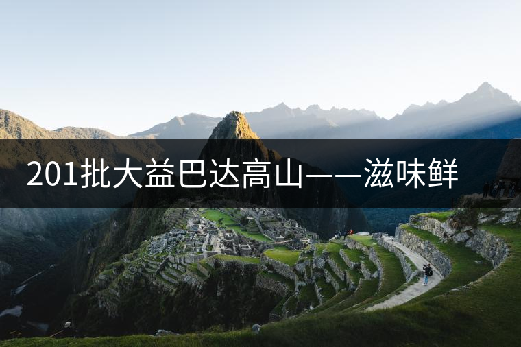 201批大益巴達(dá)高山——滋味鮮爽醇厚，回甘高而持久