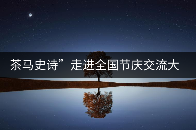 茶馬史詩”走進(jìn)全國節(jié)慶交流大會 茶馬史詩”走進(jìn)全國節(jié)慶交流大會