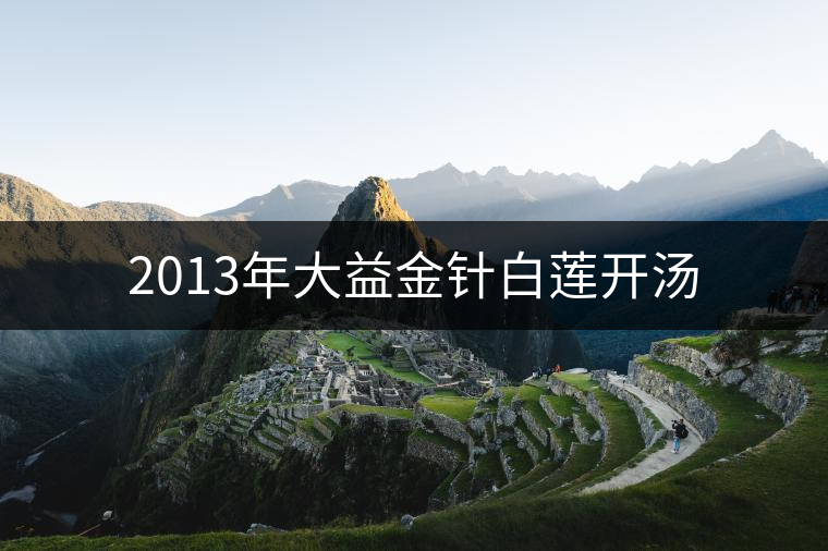 2013年大益金針白蓮開(kāi)湯 2013年大益金針白蓮開(kāi)湯